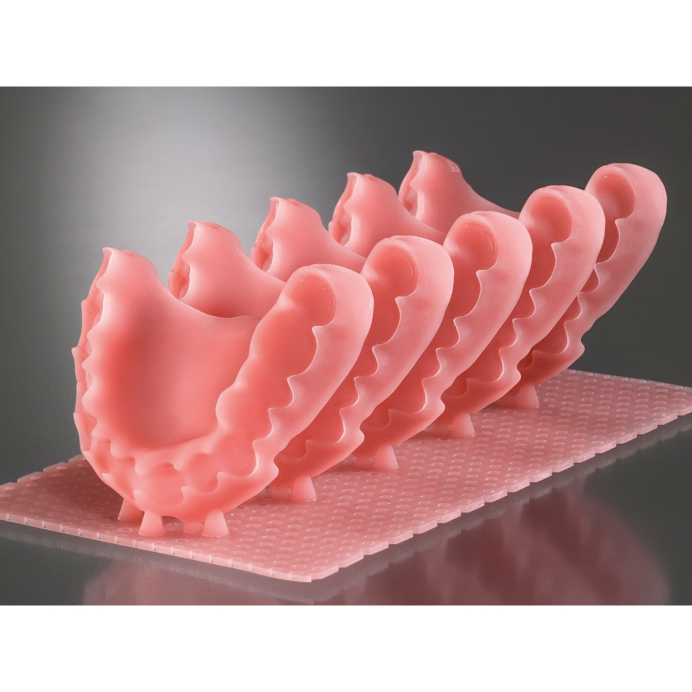 Detax Freeprint Denture Kunststoff Pink