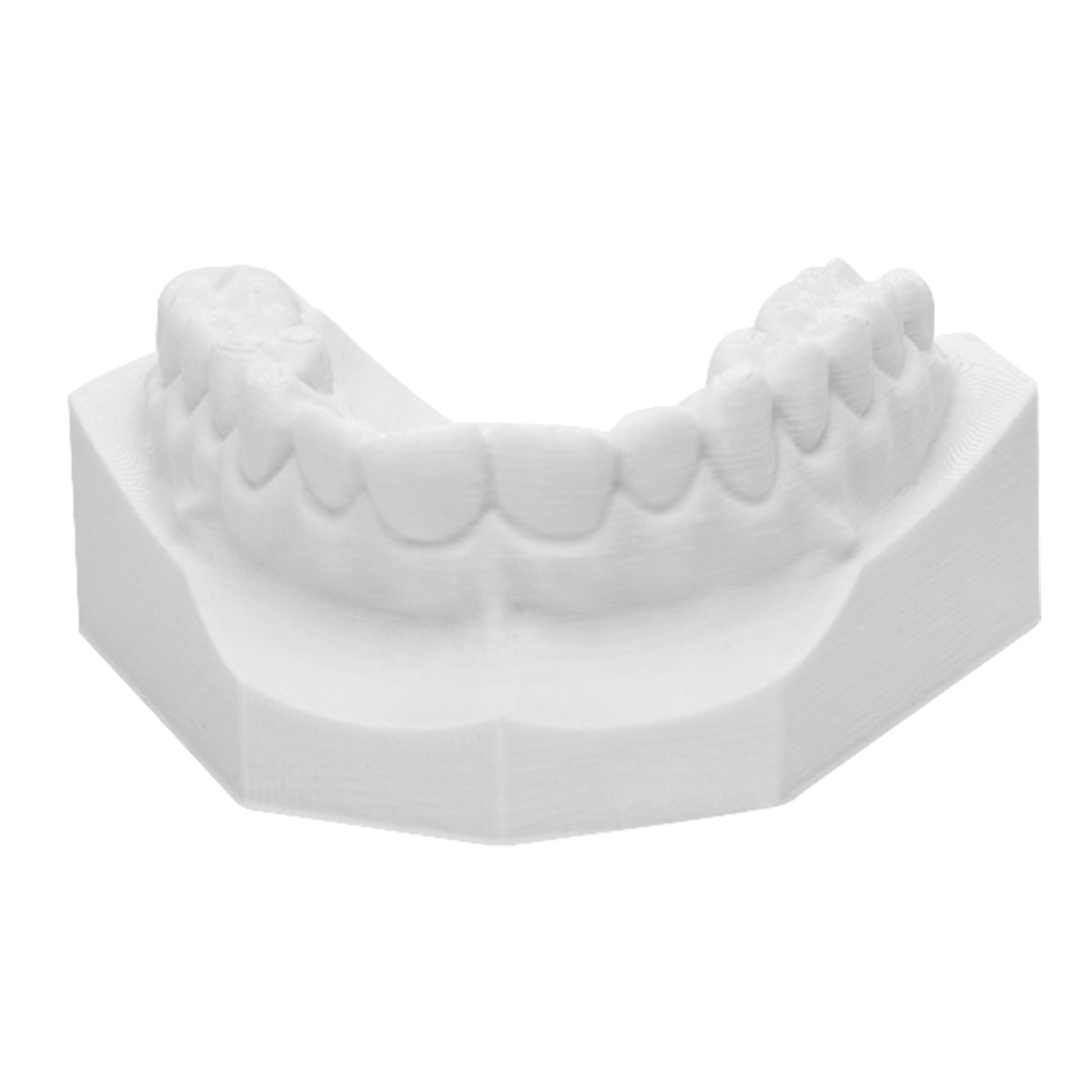 Renfert Simplex study model biofilament, ø 1,75 mm, white
