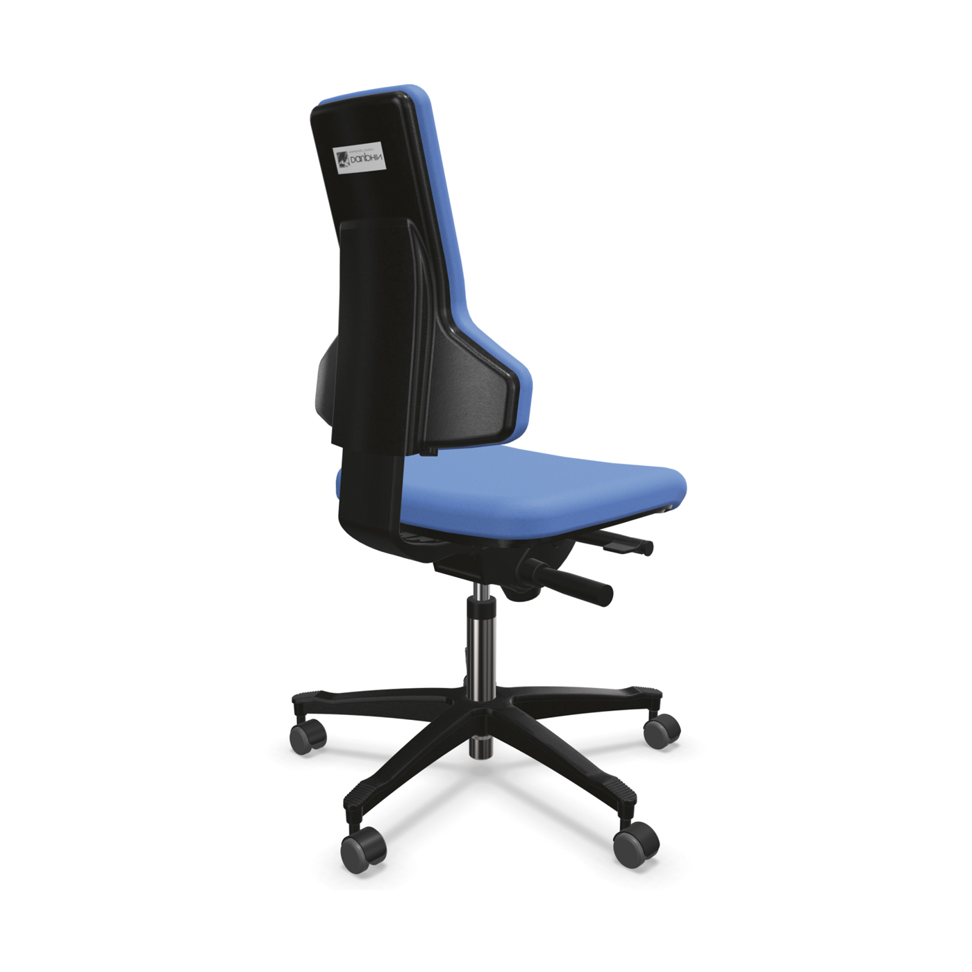 Dauphin chair adjustment 2025
